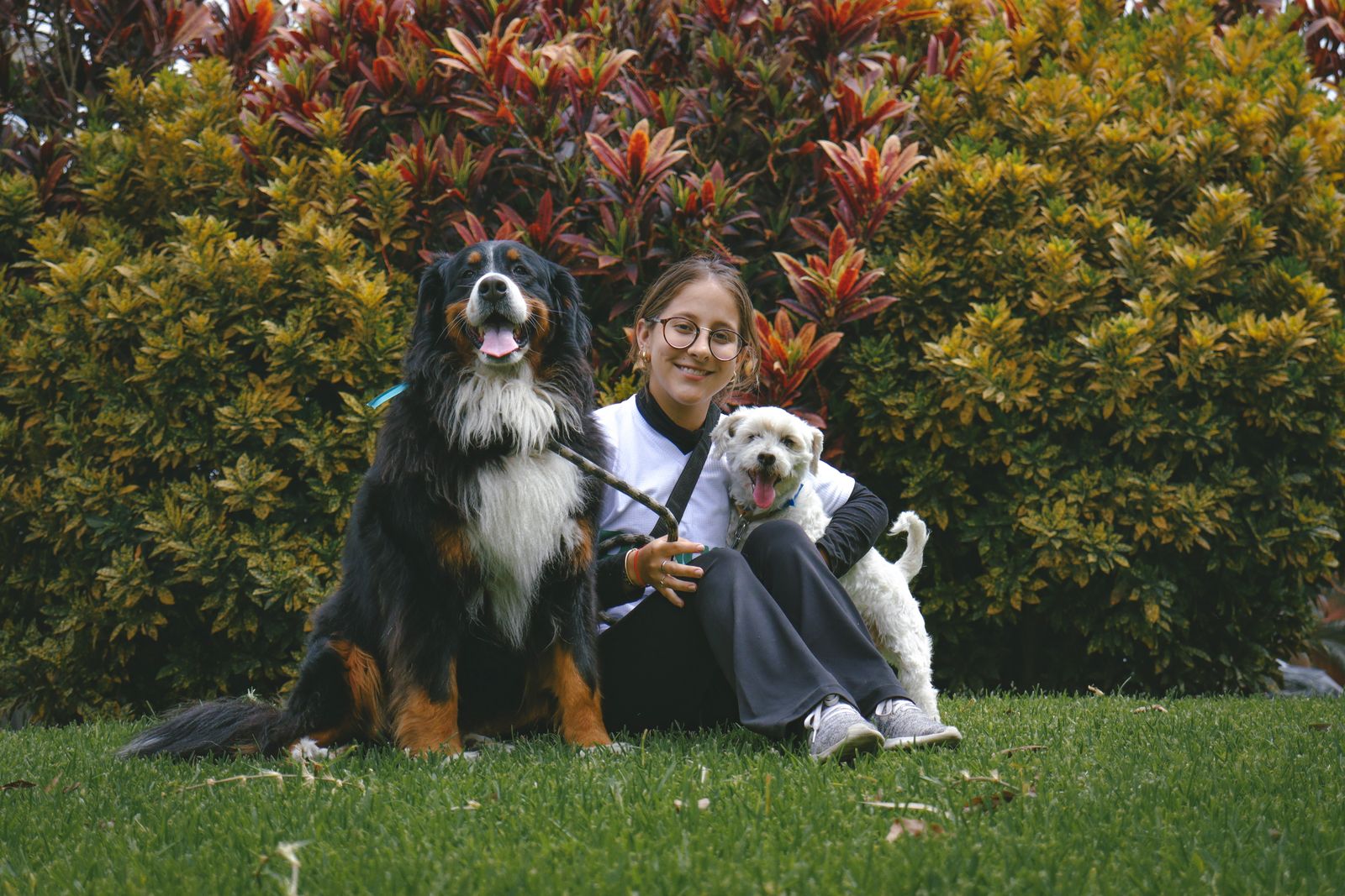 Uma mulher sorridente está sentada com dois cães felizes em um jardim exuberante, cercada por folhagens coloridas.